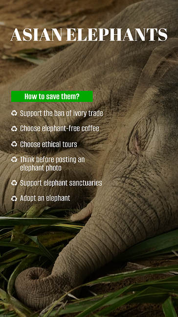 Earth Day Social Media Marketing Pack