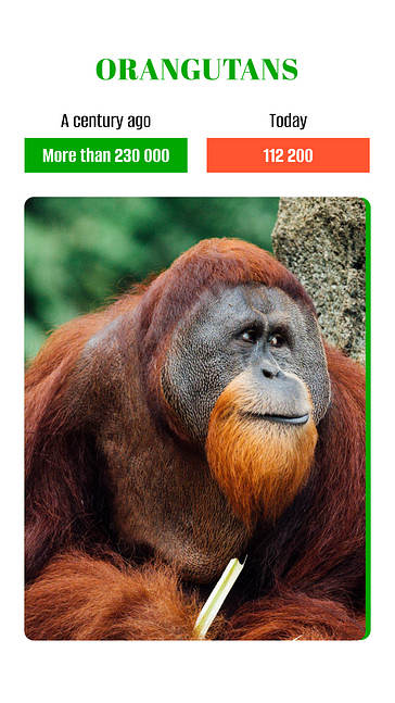 Earth Day Social Media Marketing Pack