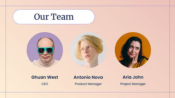 Marketing Variety Slides