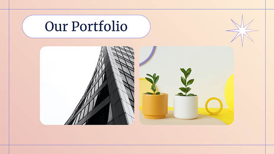 Marketing Variety Slides