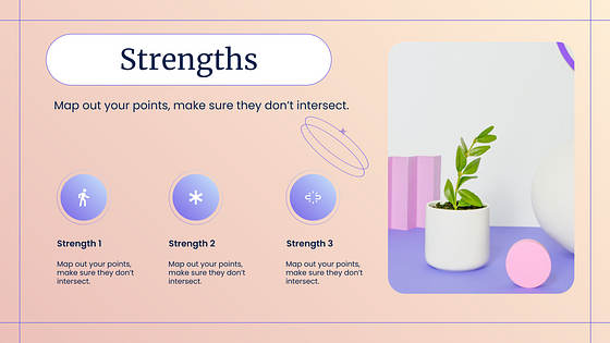 Marketing Variety Slides