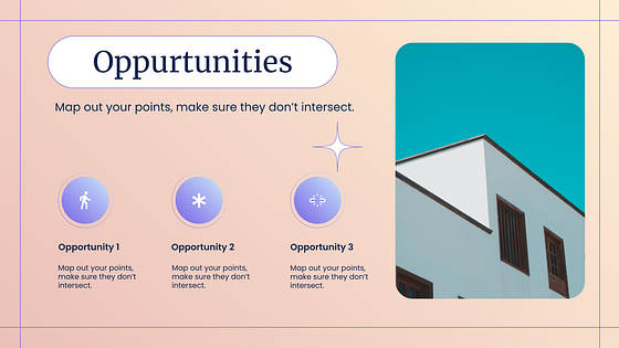 Marketing Variety Slides