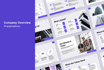 Company Overview Presentation