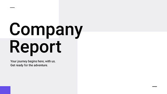 Company Overview Presentation