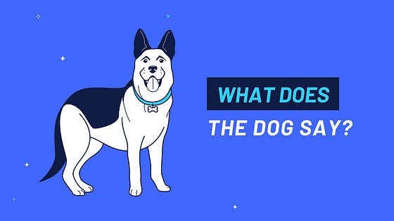 Education YouTube Thumbnail Variety Pack