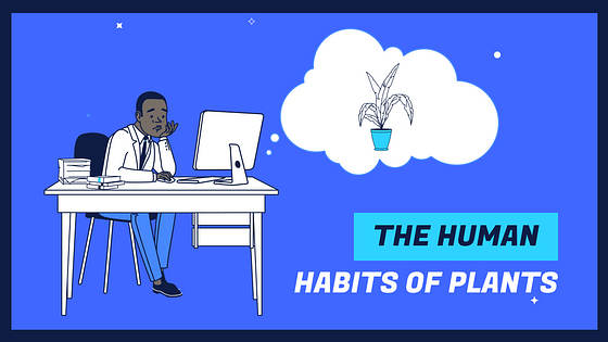 Education YouTube Thumbnail Variety Pack