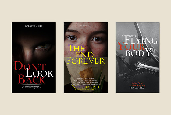 Enigmatic Thriller Book Covers