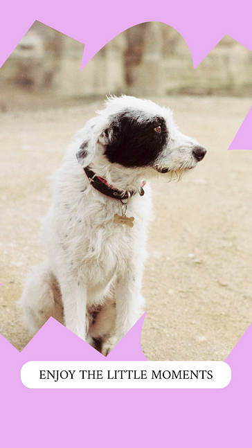 Aesthetic Instagram Frames