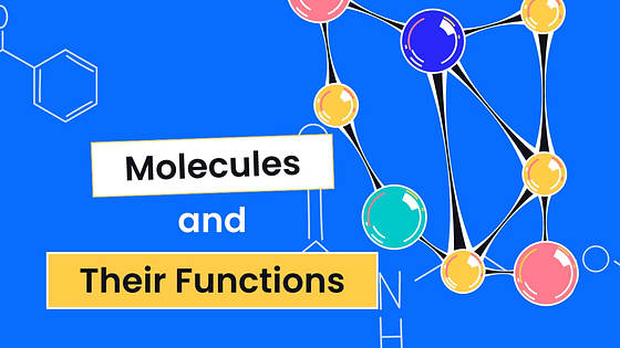 Kit Variado de Miniaturas