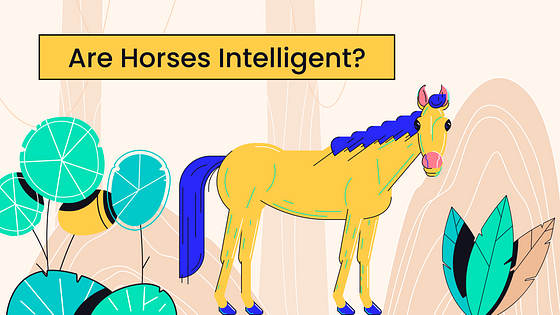 Kit Variado de Miniaturas