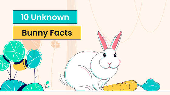 Kit Variado de Miniaturas