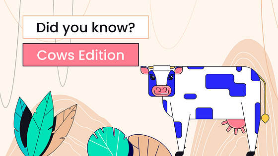 Kit Variado de Miniaturas