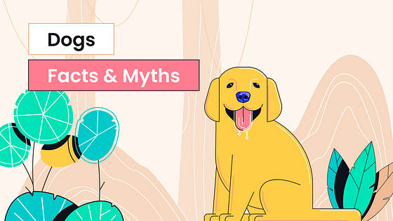 Kit Variado de Miniaturas