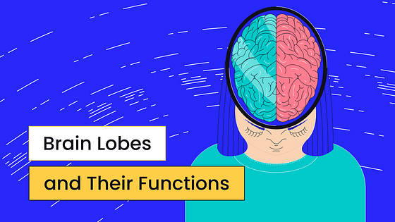 Kit Variado de Miniaturas