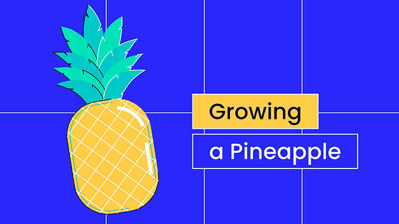 Kit Variado de Miniaturas