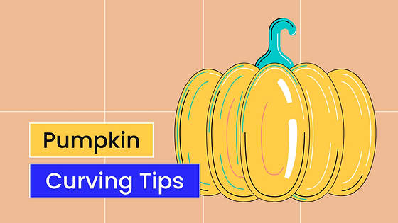 Kit Variado de Miniaturas