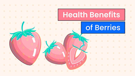 Kit Variado de Miniaturas