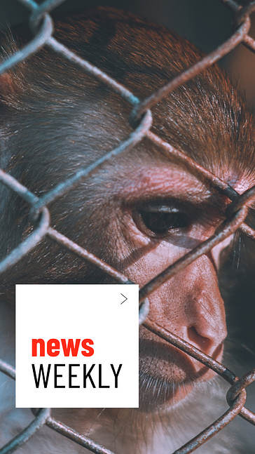 News Channel Variety Pack