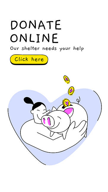 Paquete para anuncios de caridad