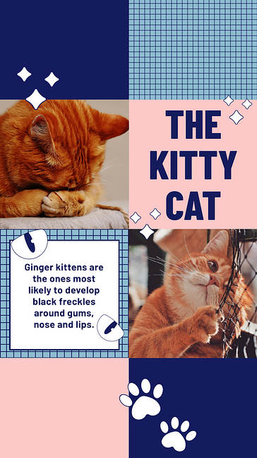 تصاميم جذابة تحت عنوان الحيوانات الأليفة