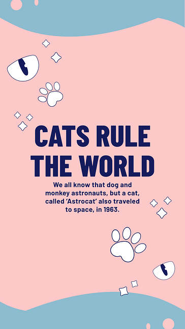 تصاميم جذابة تحت عنوان الحيوانات الأليفة