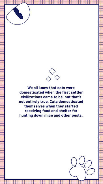 تصاميم جذابة تحت عنوان الحيوانات الأليفة