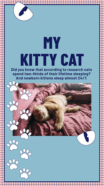 تصاميم جذابة تحت عنوان الحيوانات الأليفة