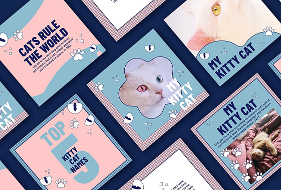 Cute Pet-Themed Designs