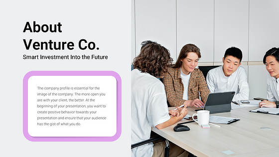 Pitch Deck Professional Slides