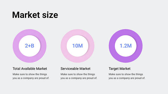 Pitch Deck Professional Slides