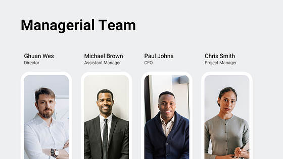 Pitch Deck Professional Slides