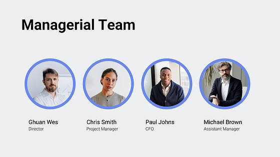 Pitch Deck Professional Slides