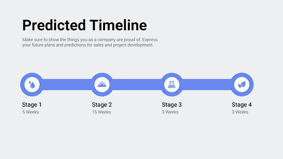 Pitch Deck Professional Slides