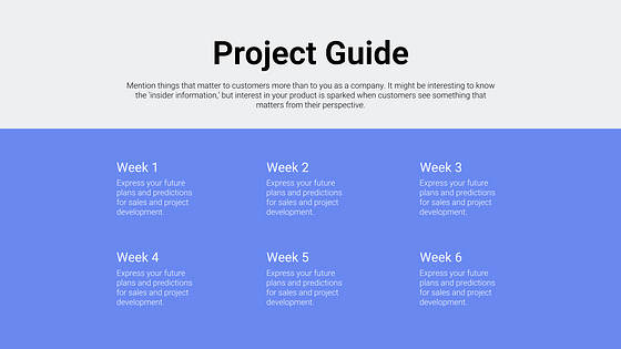 Pitch Deck Professional Slides