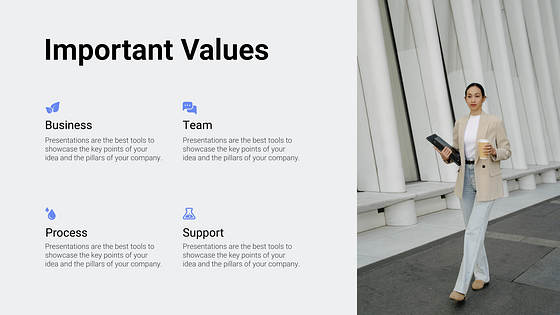 Pitch Deck Professional Slides