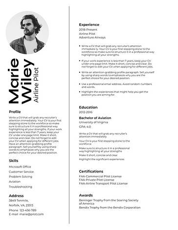 Professional Resume Templates