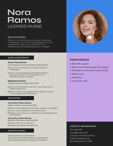 Professional Resume Templates