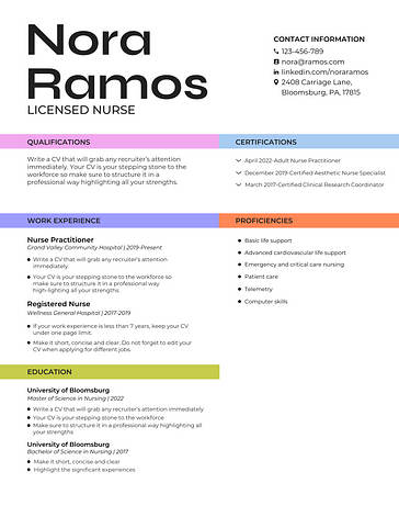 Professional Resume Templates