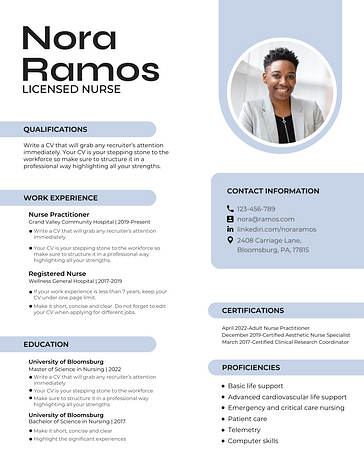 Professional Resume Templates