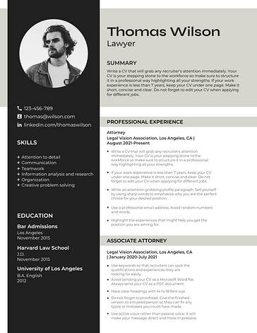 Professional Resume Templates