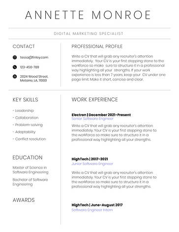 Corporate Resume Templates