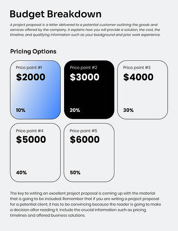 Project Proposal Template