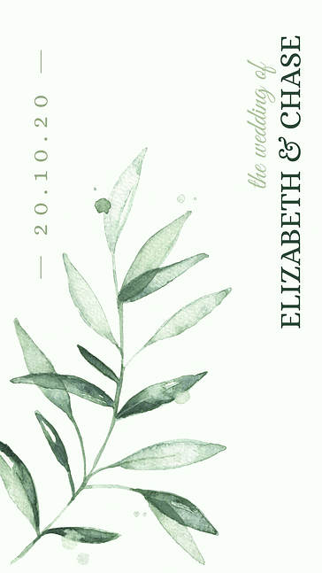 طقم تصميم زفاف جميل