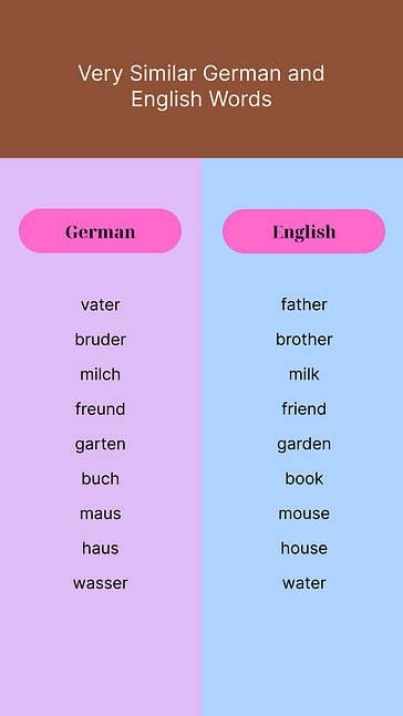 Dil Okulu Tanıtım Kiti