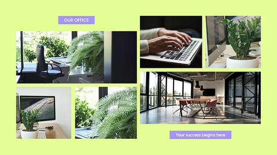 Employee Handbook Presentation