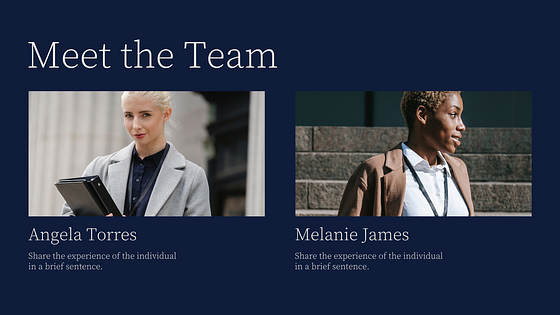 Law Firm Presentation Pack