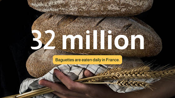 Food Slides Presentation