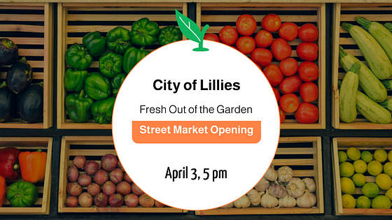 Food Slides Presentation