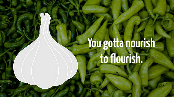 Food Slides Presentation