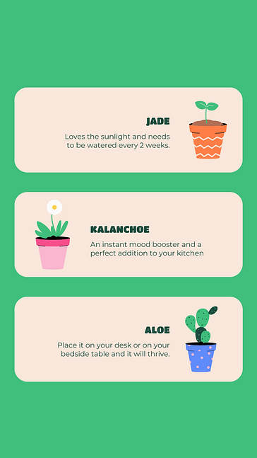 Gartenarbeiten SMM-Paket